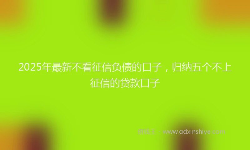 2025年最新不看征信负债的口子，归纳五个不上征信的贷款口子