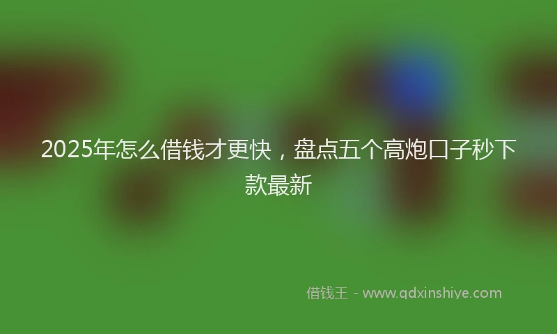 2025年怎么借钱才更快，盘点五个高炮口子秒下款最新