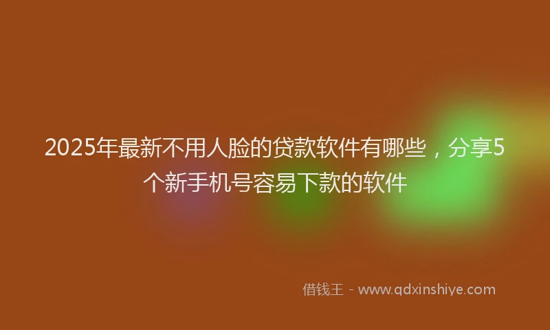 2025年最新不用人脸的贷款软件有哪些，分享5个新手机号容易下款的软件