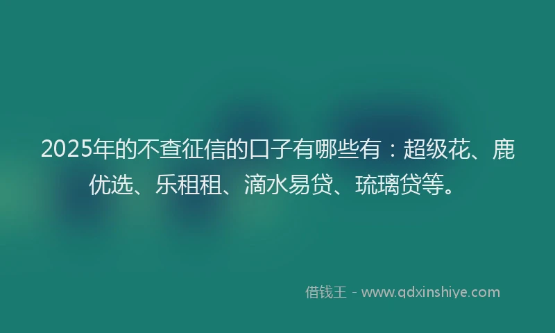 2025年的不查征信的口子有哪些有：超级花、鹿优选、乐租租、滴水易贷、琉璃贷等。