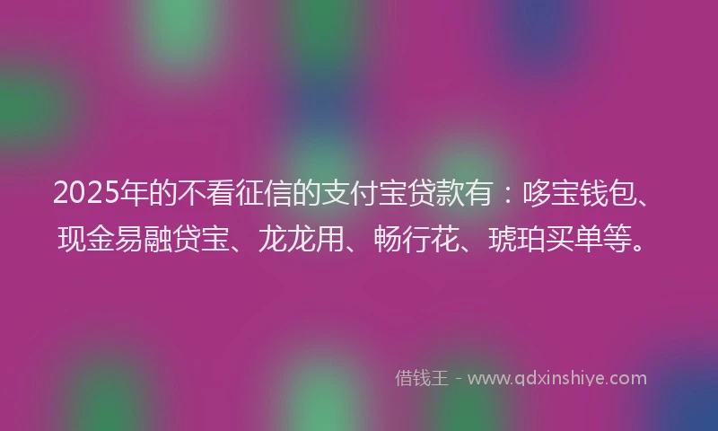 2025年的不看征信的支付宝贷款有：哆宝钱包、现金易融贷宝、龙龙用、畅行花、琥珀买单等。