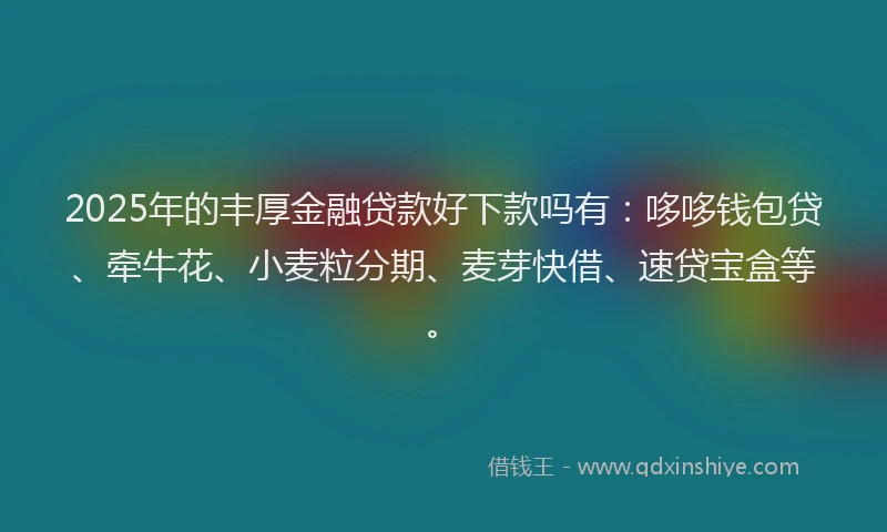 2025年的丰厚金融贷款好下款吗有：哆哆钱包贷、牵牛花、小麦粒分期、麦芽快借、速贷宝盒等。