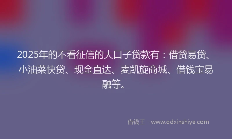 2025年的不看征信的大口子贷款有：借贷易贷、小油菜快贷、现金直达、麦凯旋商城、借钱宝易融等。