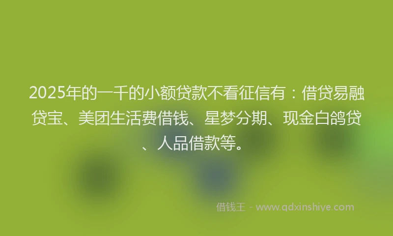 2025年的一千的小额贷款不看征信有：借贷易融贷宝、美团生活费借钱、星梦分期、现金白鸽贷、人品借款等。