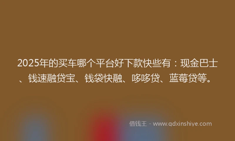 2025年的买车哪个平台好下款快些有：现金巴士、钱速融贷宝、钱袋快融、哆哆贷、蓝莓贷等。