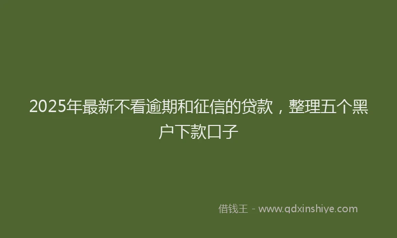 2025年最新不看逾期和征信的贷款，整理五个黑户下款口子