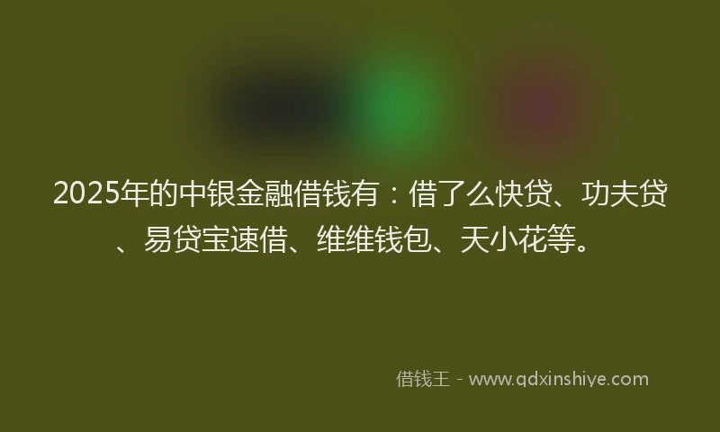 2025年的中银金融借钱有：借了么快贷、功夫贷、易贷宝速借、维维钱包、天小花等。