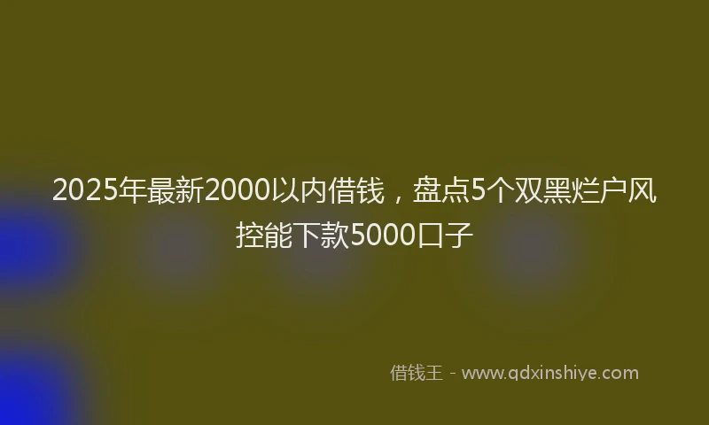 2025年最新2000以内借钱，盘点5个双黑烂户风控能下款5000口子