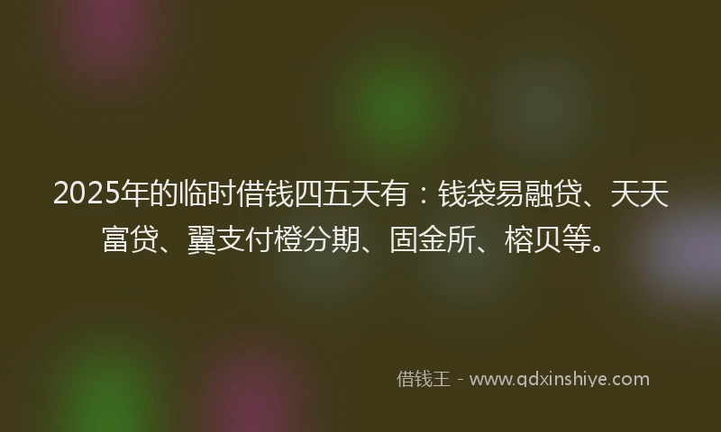 2025年的临时借钱四五天有：钱袋易融贷、天天富贷、翼支付橙分期、固金所、榕贝等。