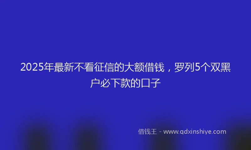 2025年最新不看征信的大额借钱，罗列5个双黑户必下款的口子
