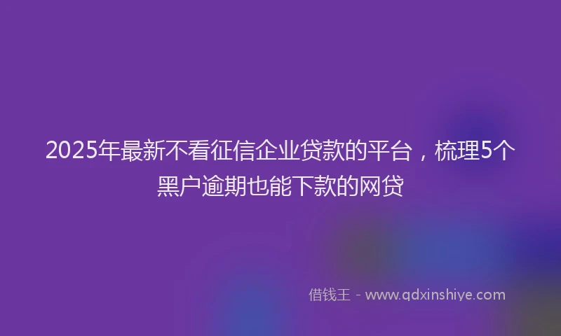 2025年最新不看征信企业贷款的平台，梳理5个黑户逾期也能下款的网贷