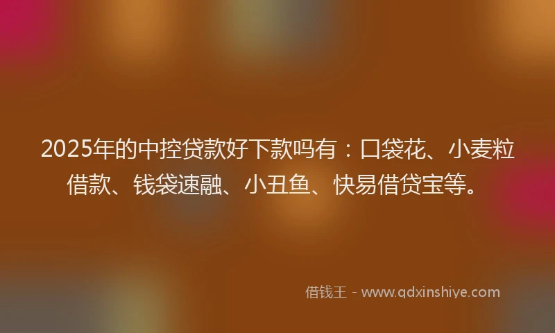 2025年的中控贷款好下款吗有：口袋花、小麦粒借款、钱袋速融、小丑鱼、快易借贷宝等。