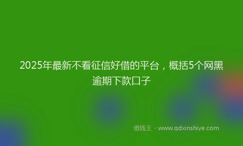 2025年最新不看征信好借的平台，概括5个网黑逾期下款口子