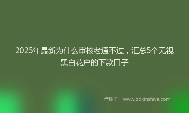 2025年最新为什么审核老通不过，汇总5个无视黑白花户的下款口子
