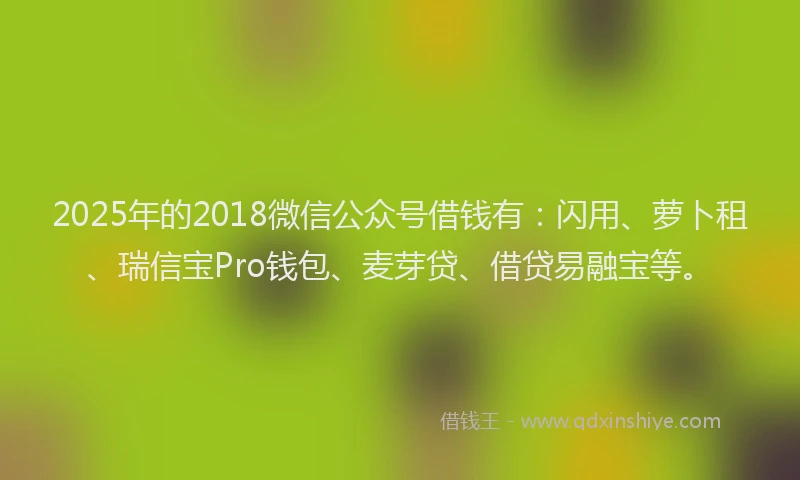 2025年的2018微信公众号借钱有：闪用、萝卜租、瑞信宝Pro钱包、麦芽贷、借贷易融宝等。