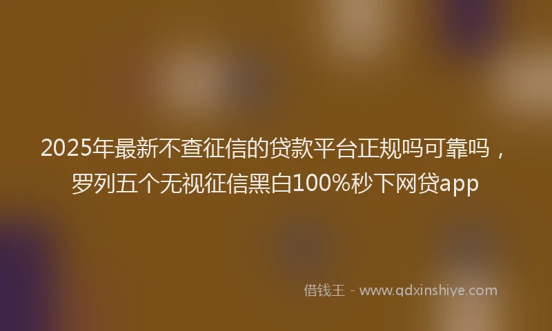 2025年最新不查征信的贷款平台正规吗可靠吗，罗列五个无视征信黑白100%秒下网贷app