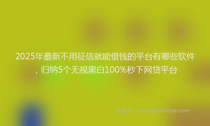 2025年最新不用征信就能借钱的平台有哪些软件，归纳5个无视黑白100%秒下网贷平台