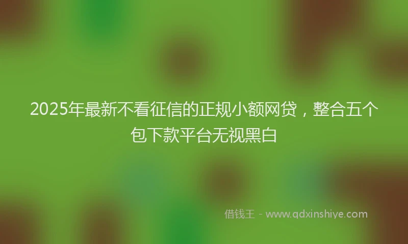 2025年最新不看征信的正规小额网贷，整合五个包下款平台无视黑白