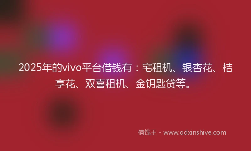 2025年的vivo平台借钱有：宅租机、银杏花、桔享花、双喜租机、金钥匙贷等。