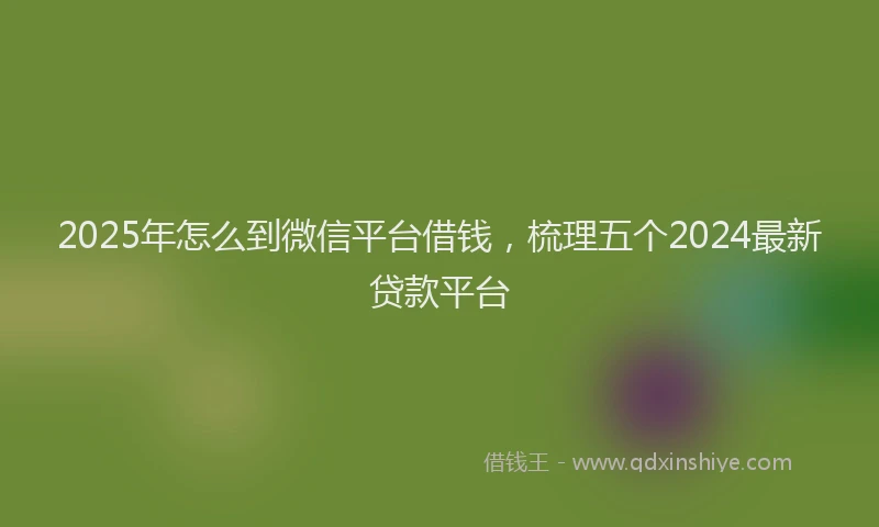 2025年怎么到微信平台借钱，梳理五个2024最新贷款平台