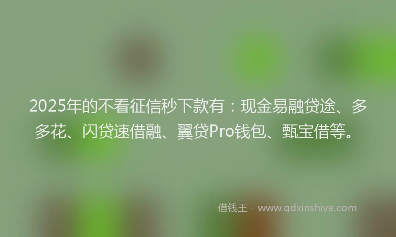 2025年的不看征信秒下款有：现金易融贷途、多多花、闪贷速借融、翼贷Pro钱包、甄宝借等。
