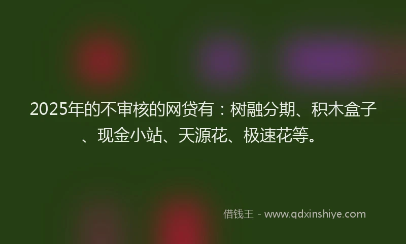 2025年的不审核的网贷有：树融分期、积木盒子、现金小站、天源花、极速花等。
