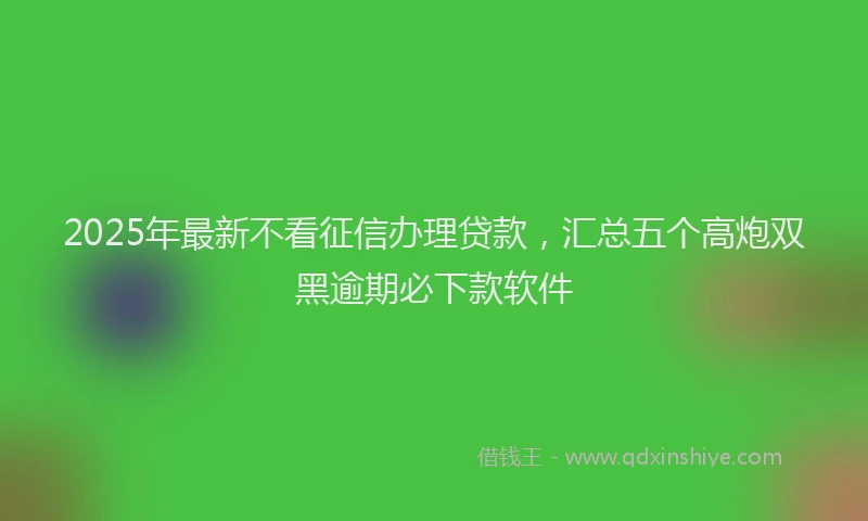 2025年最新不看征信办理贷款，汇总五个高炮双黑逾期必下款软件