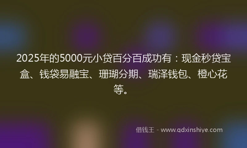 2025年的5000元小贷百分百成功有：现金秒贷宝盒、钱袋易融宝、珊瑚分期、瑞泽钱包、橙心花等。