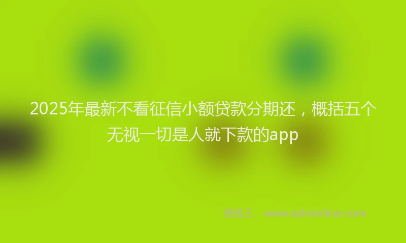 2025年最新不看征信小额贷款分期还，概括五个无视一切是人就下款的app