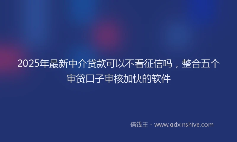 2025年最新中介贷款可以不看征信吗，整合五个审贷口子审核加快的软件