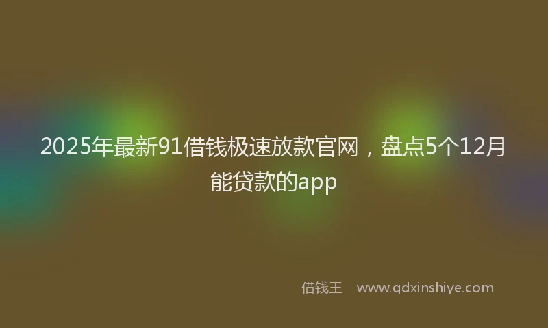 2025年最新91借钱极速放款官网，盘点5个12月能贷款的app