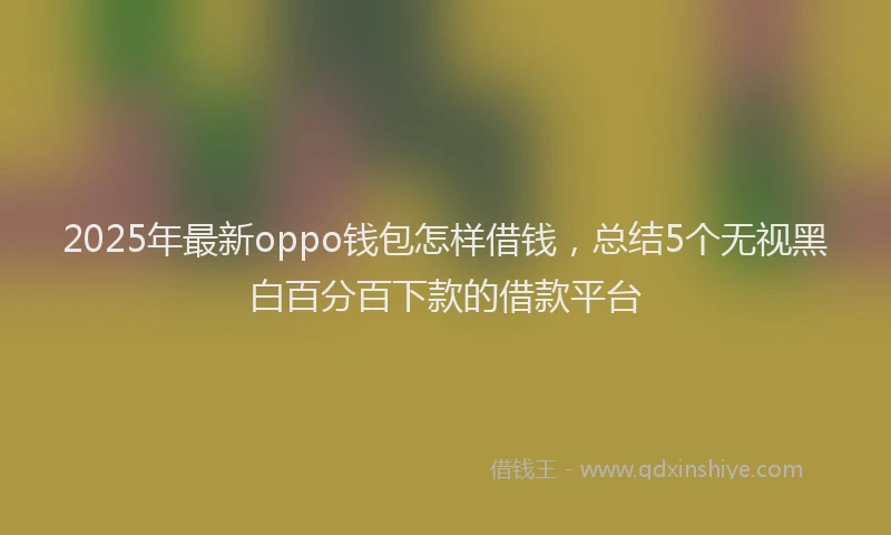 2025年最新oppo钱包怎样借钱，总结5个无视黑白百分百下款的借款平台