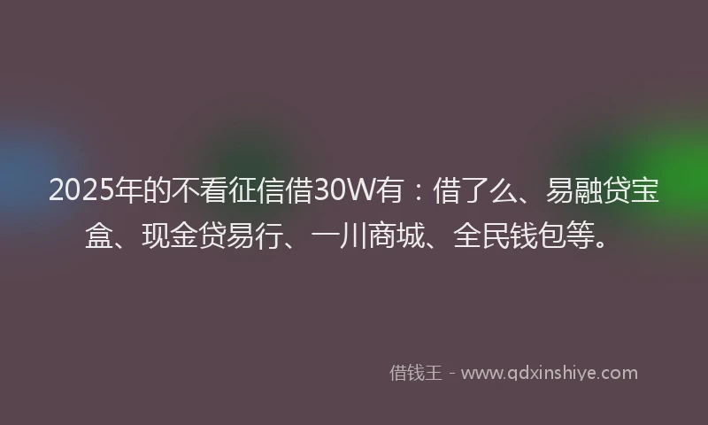 2025年的不看征信借30W有：借了么、易融贷宝盒、现金贷易行、一川商城、全民钱包等。