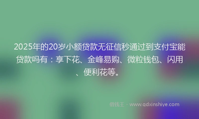 2025年的20岁小额贷款无征信秒通过到支付宝能贷款吗有:享下花、金峰易购、微粒钱包、闪用、便利花等。