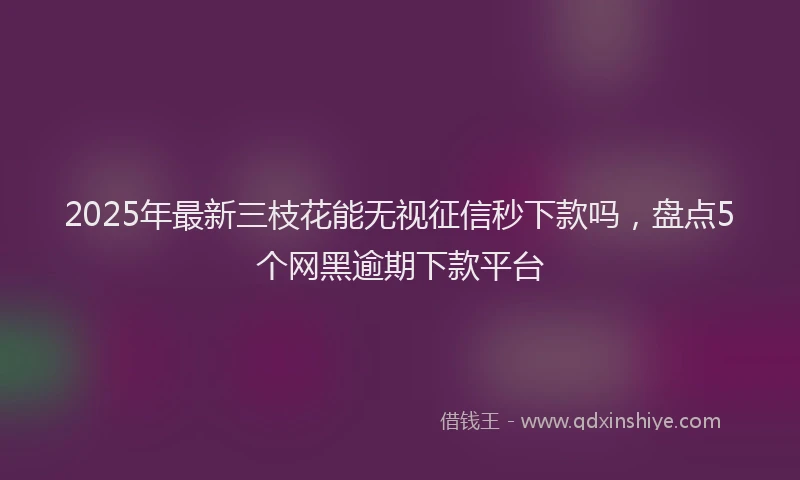2025年最新三枝花能无视征信秒下款吗，盘点5个网黑逾期下款平台