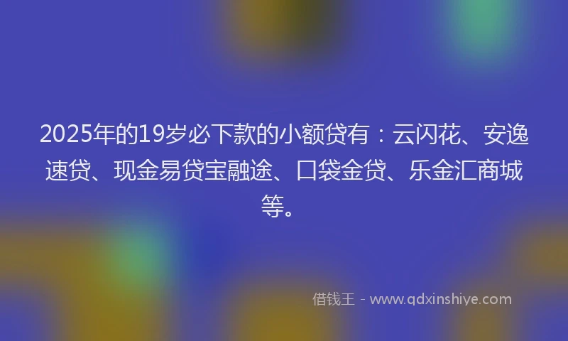 2025年的19岁必下款的小额贷有：云闪花、安逸速贷、现金易贷宝融途、口袋金贷、乐金汇商城等。