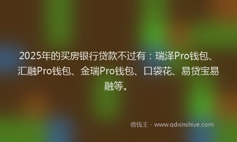 2025年的买房银行贷款不过有：瑞泽Pro钱包、汇融Pro钱包、金瑞Pro钱包、口袋花、易贷宝易融等。