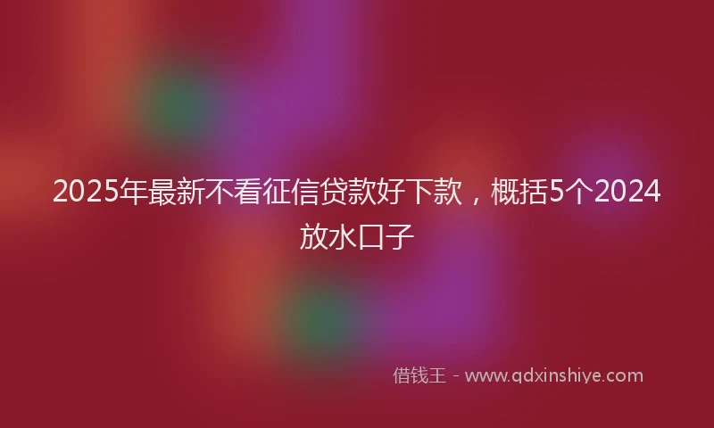 2025年最新不看征信贷款好下款，概括5个2024放水口子