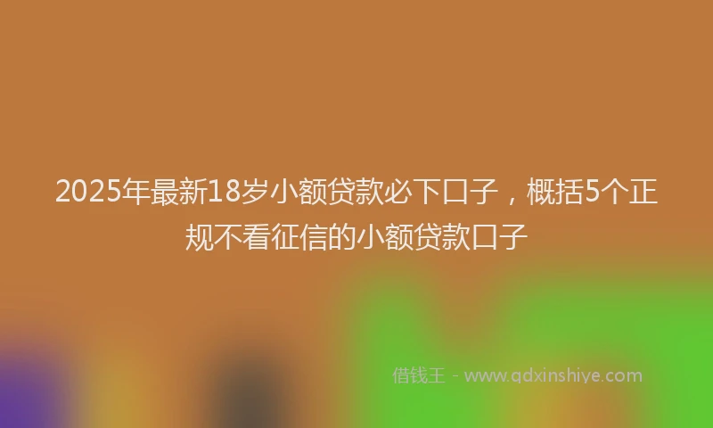 2025年最新18岁小额贷款必下口子，概括5个正规不看征信的小额贷款口子