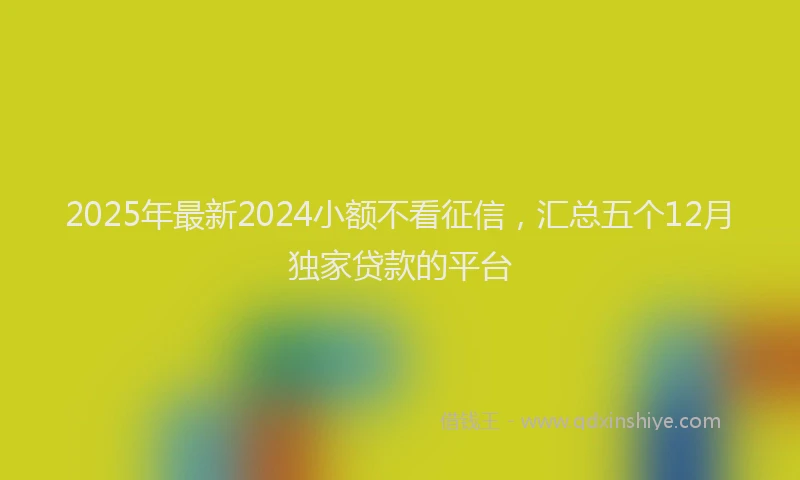 2025年最新2024小额不看征信，汇总五个12月独家贷款的平台