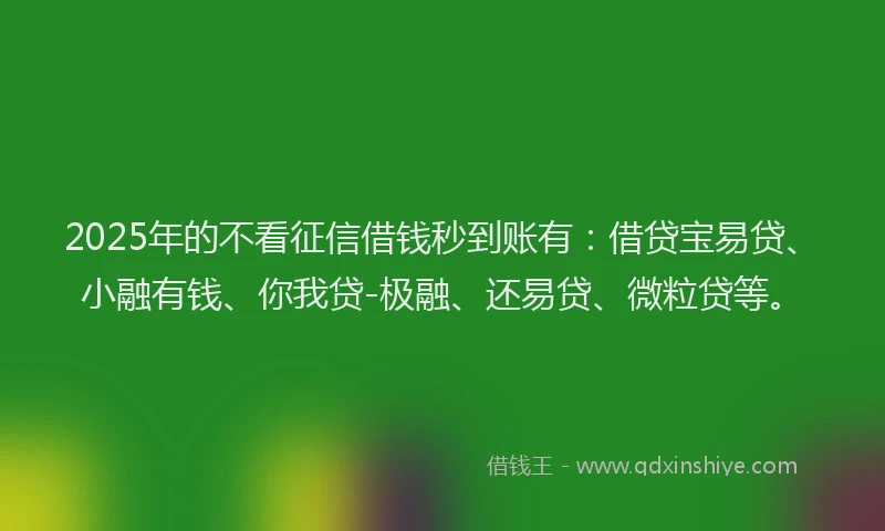2025年的不看征信借钱秒到账有：借贷宝易贷、小融有钱、你我贷-极融、还易贷、微粒贷等。