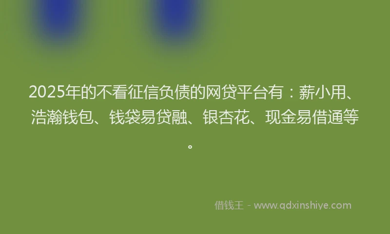 2025年的不看征信负债的网贷平台有：薪小用、浩瀚钱包、钱袋易贷融、银杏花、现金易借通等。