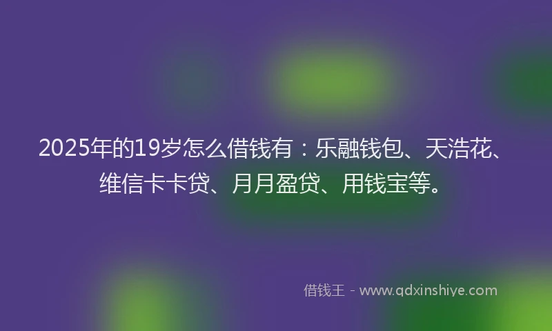 2025年的19岁怎么借钱有：乐融钱包、天浩花、维信卡卡贷、月月盈贷、用钱宝等。