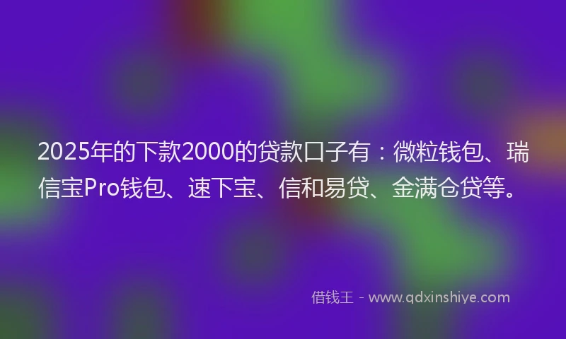 2025年的下款2000的贷款口子有：微粒钱包、瑞信宝Pro钱包、速下宝、信和易贷、金满仓贷等。