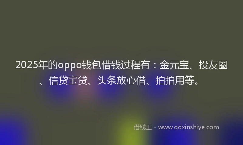 2025年的oppo钱包借钱过程有：金元宝、投友圈、信贷宝贷、头条放心借、拍拍用等。