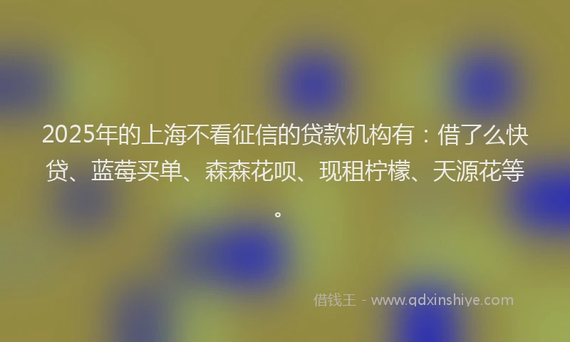 2025年的上海不看征信的贷款机构有：借了么快贷、蓝莓买单、森森花呗、现租柠檬、天源花等。