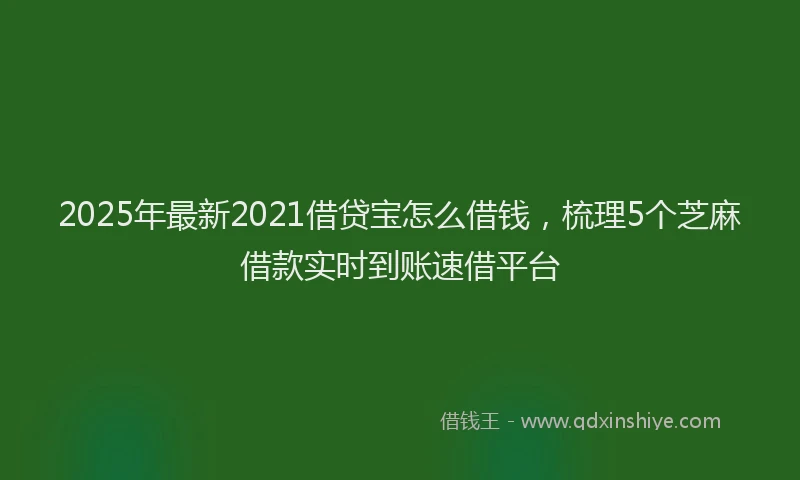 2025年最新2021借贷宝怎么借钱，梳理5个芝麻借款实时到账速借平台