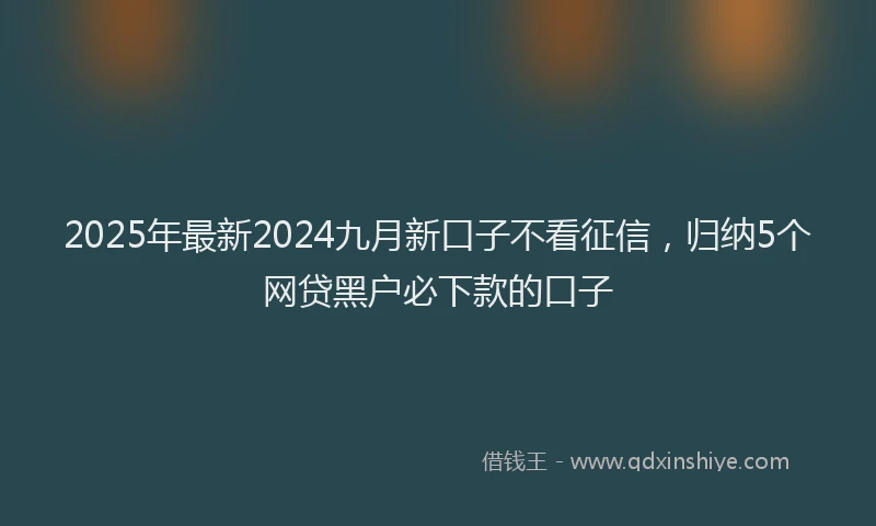 2025年最新2024九月新口子不看征信，归纳5个网贷黑户必下款的口子