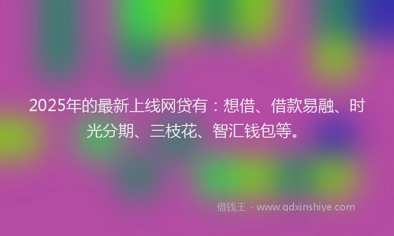 2025年的最新上线网贷有：想借、借款易融、时光分期、三枝花、智汇钱包等。