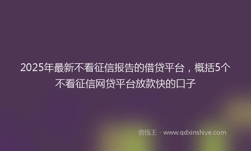 2025年最新不看征信报告的借贷平台，概括5个不看征信网贷平台放款快的口子